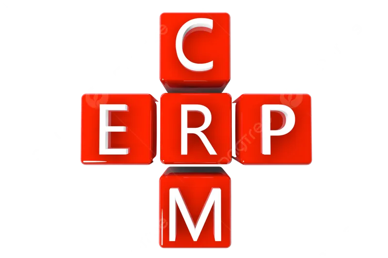 ERP and CRM blocks